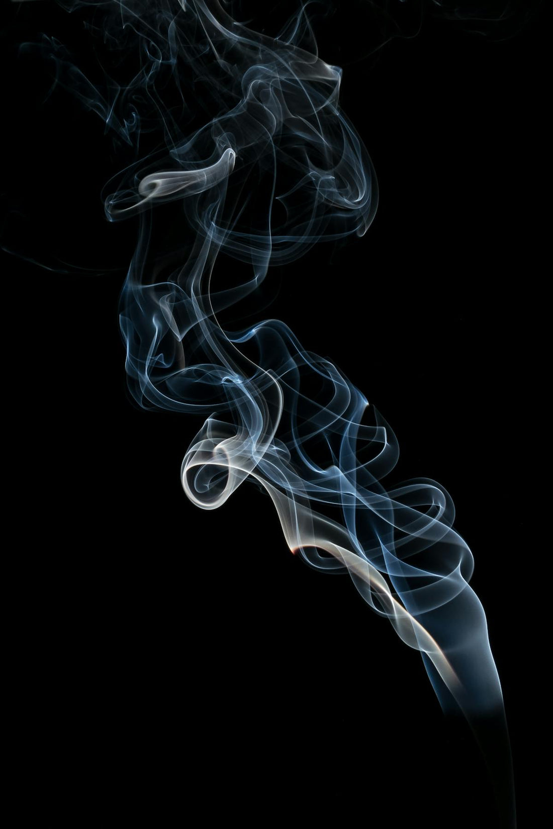 Cobra Pheromone: the story behind the fragrance