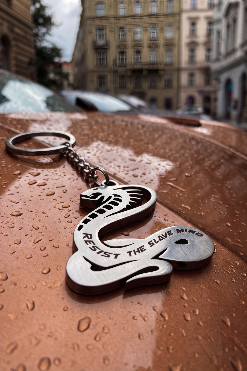 Don't lose your keys Cobra