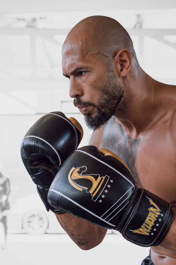 Wudan Fists | Top G Boxing Gloves