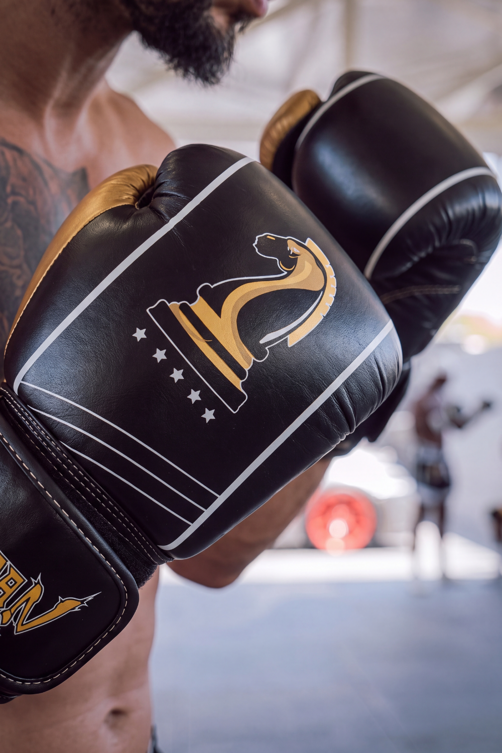 Wudan Fists