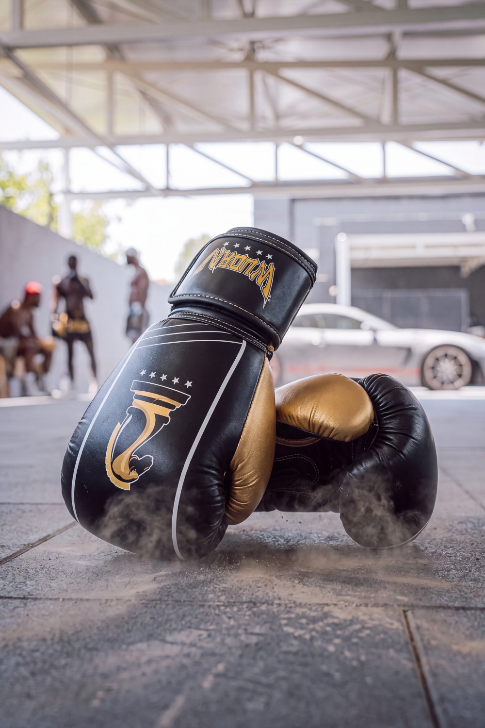 Wudan Fists