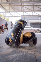 Wudan Fists