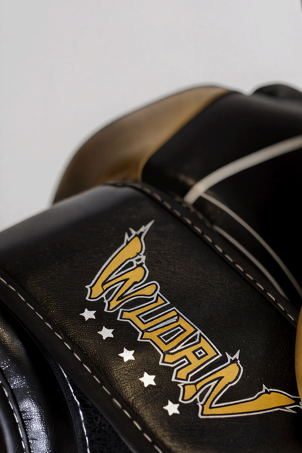 Wudan Fists