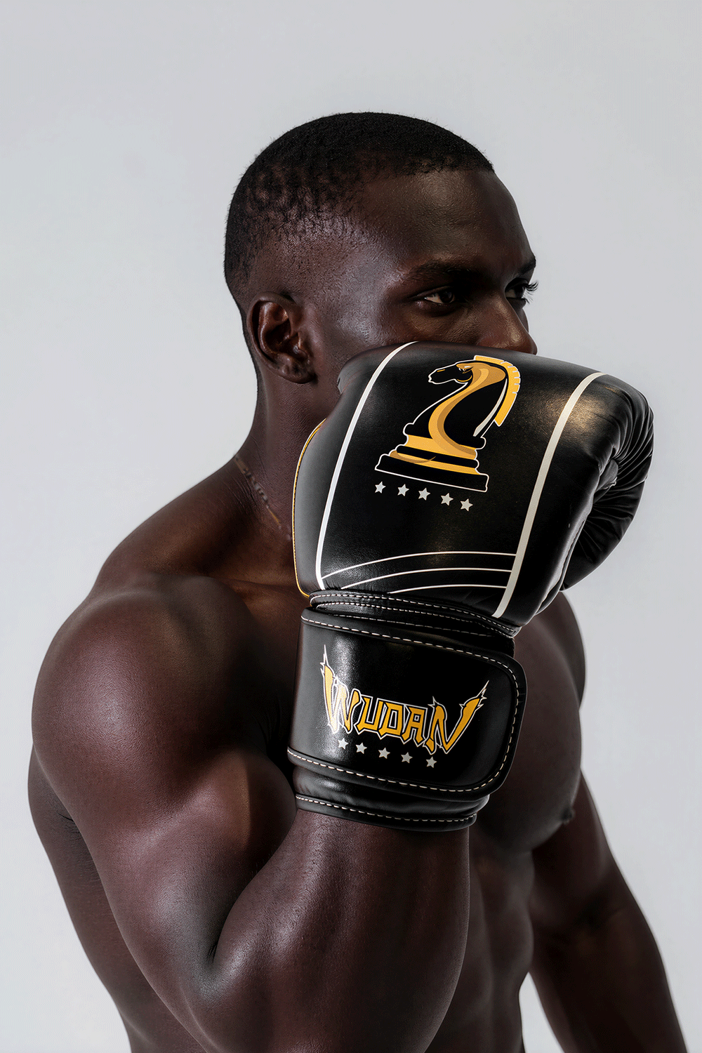 Wudan Fists
