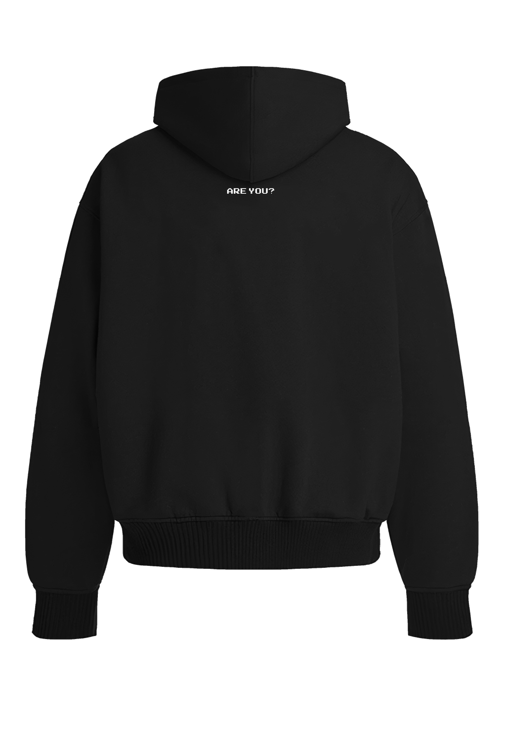 Case Dismissed back view Top G men's hoodie